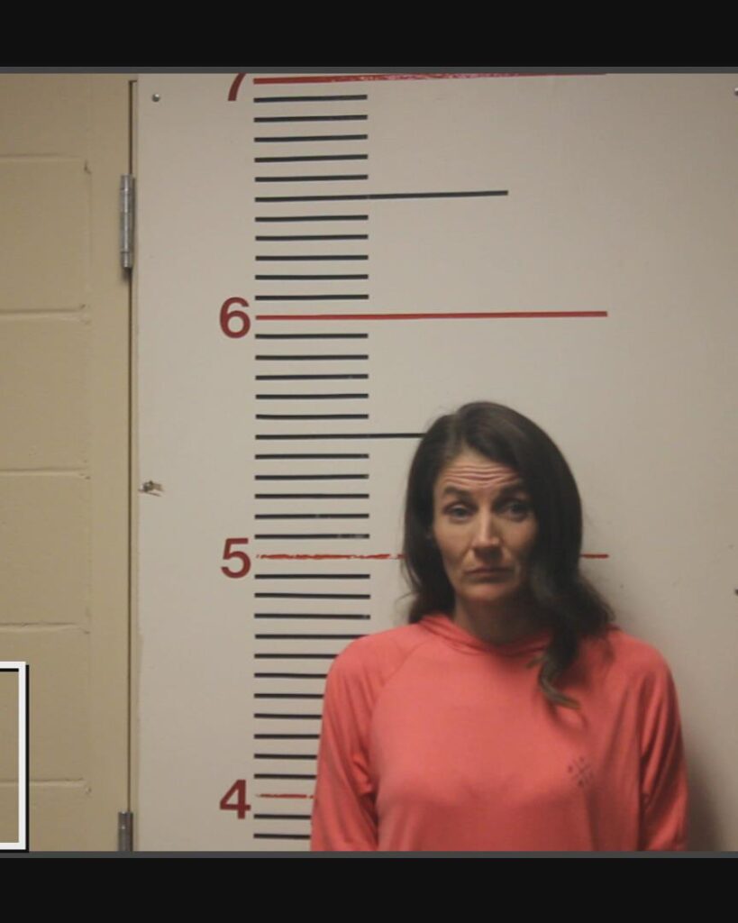 ALLEN, CAROL ANN arrested in Anderson County, Texas mugshot
