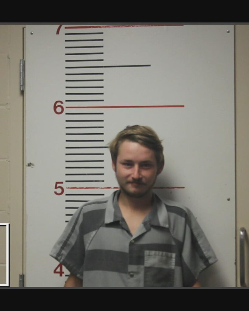 FIELDS, ROBERT REECE arrested in Anderson County, Texas mugshot