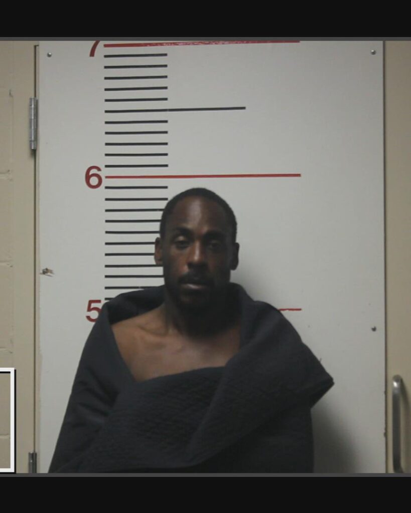 BROWN, NICHOLAS KENRICK arrested in Anderson County, Texas mugshot