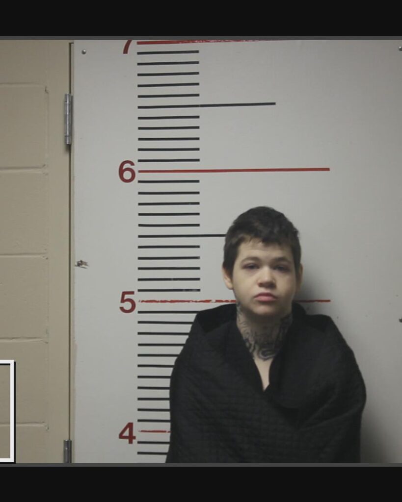 WHITTMORE, HANNAH arrested in Anderson County, Texas mugshot