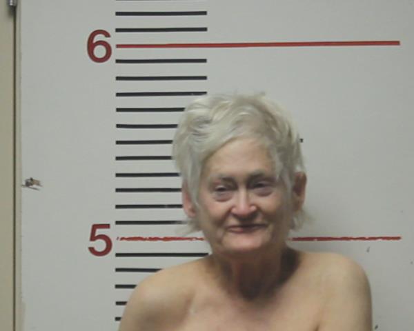 MCDONALD, ANITA FLETCHER booking photo