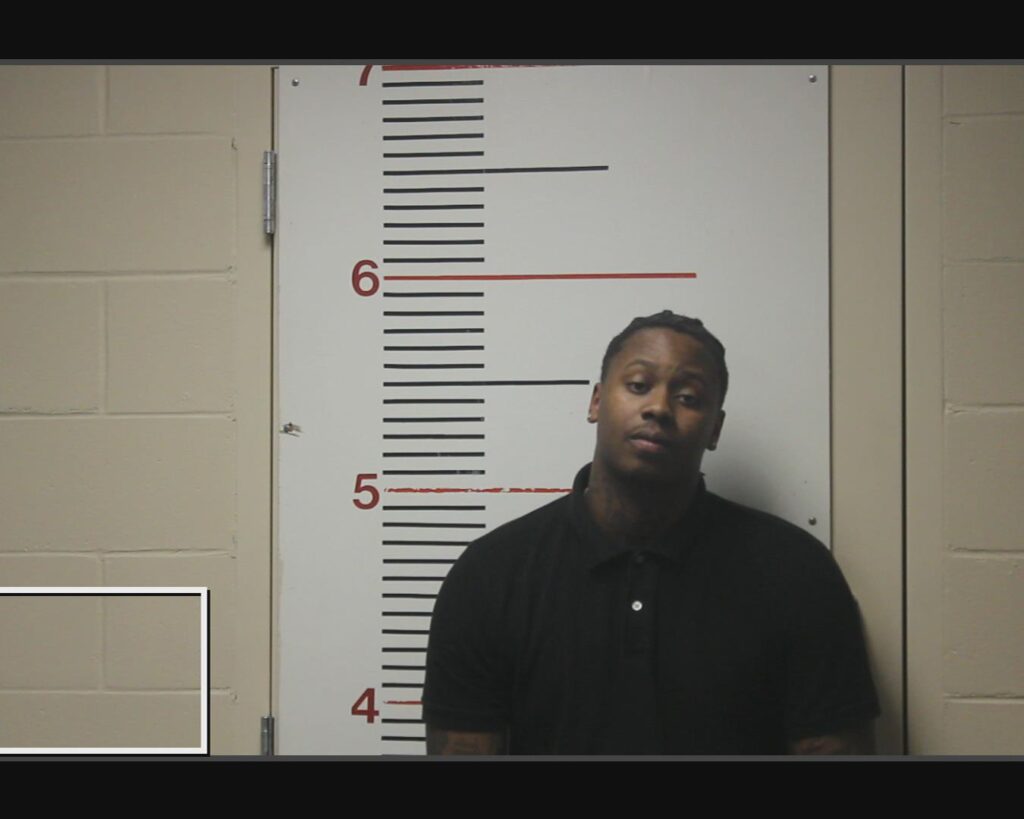 WILSON, CEDRIC LOWON, Jr. arrested in Anderson County, Texas mugshot