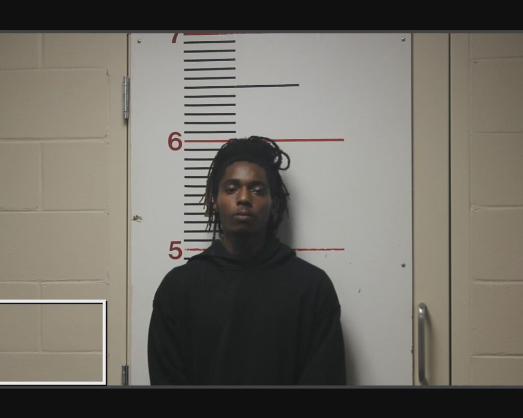 BROWN, ISAIAH LAQUAN arrested in Anderson County, Texas mugshot