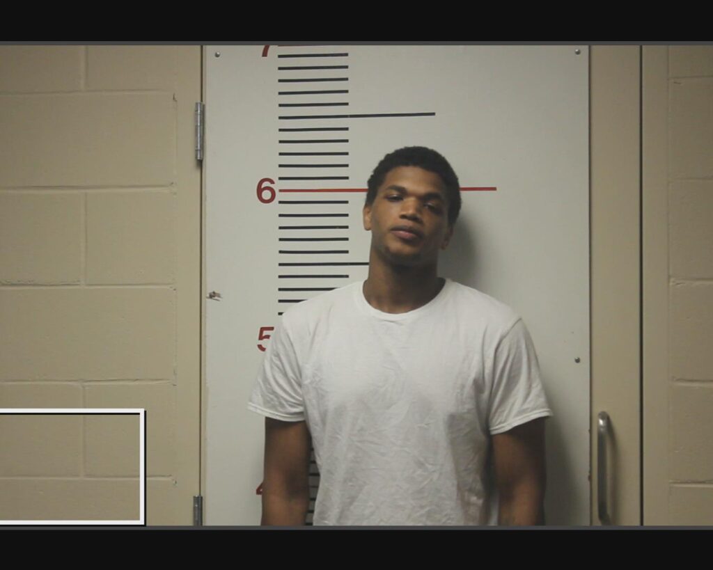 MILTON, DOMINIQUE JAMEEL arrested in Anderson County, Texas mugshot