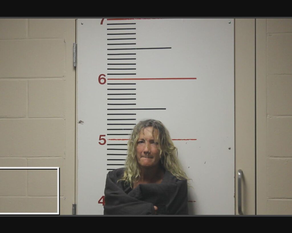 WILLIAMS, JONI MICHELLE arrested in Anderson County, Texas mugshot