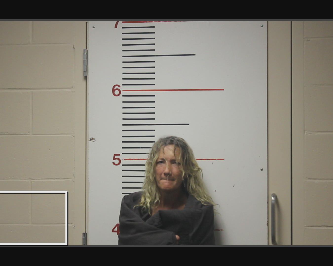 WILLIAMS, JONI MICHELLE booking photo