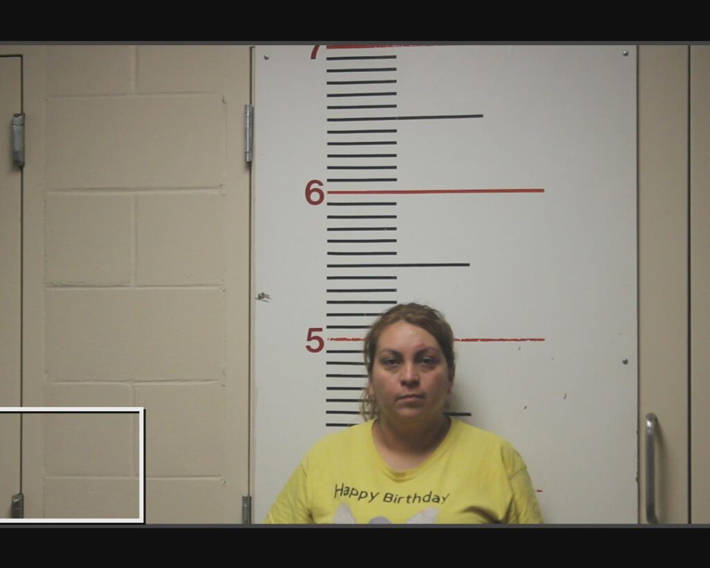 GIBSON, ANNIE arrested in Anderson County, Texas mugshot