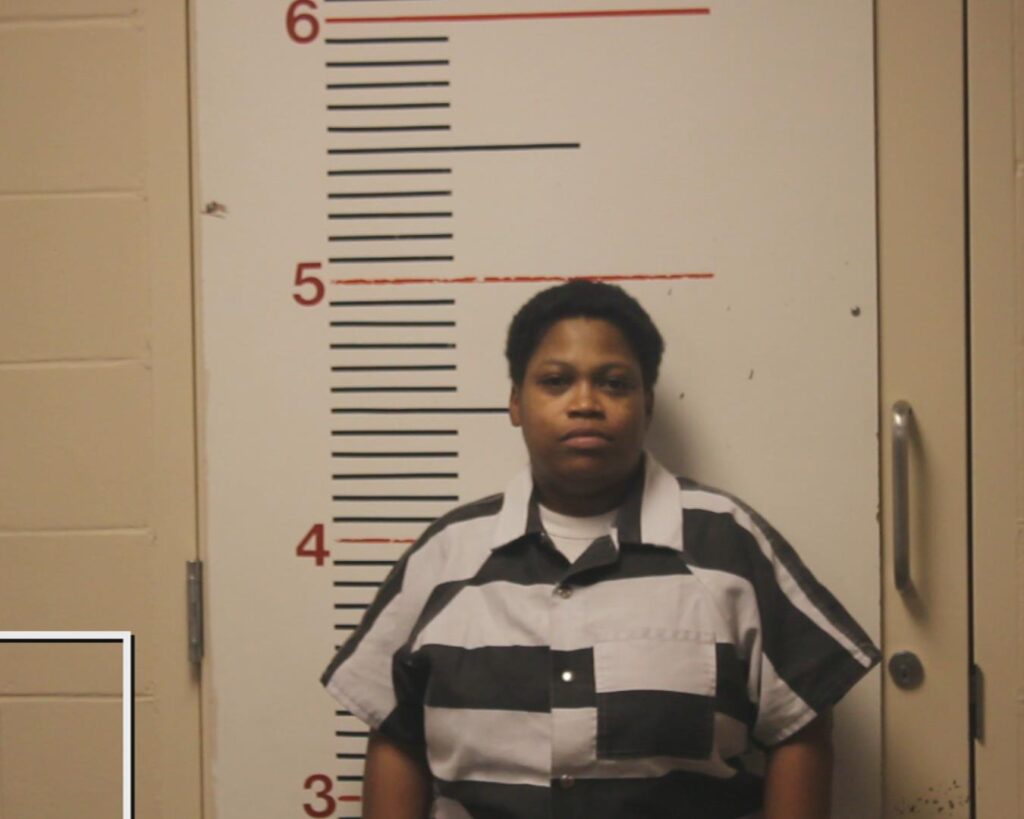 PRICE, CYNTHIA SHANELL arrested in Anderson County, Texas mugshot