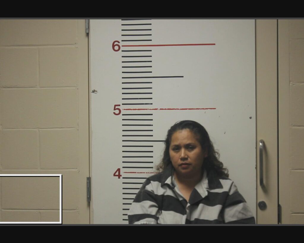 LOPEZ URIBE, ROSA MARIA arrested in Anderson County, Texas mugshot