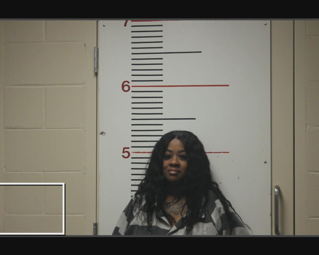 PAGE, ZEANDREA ZIONNE arrested in Anderson County, Texas mugshot