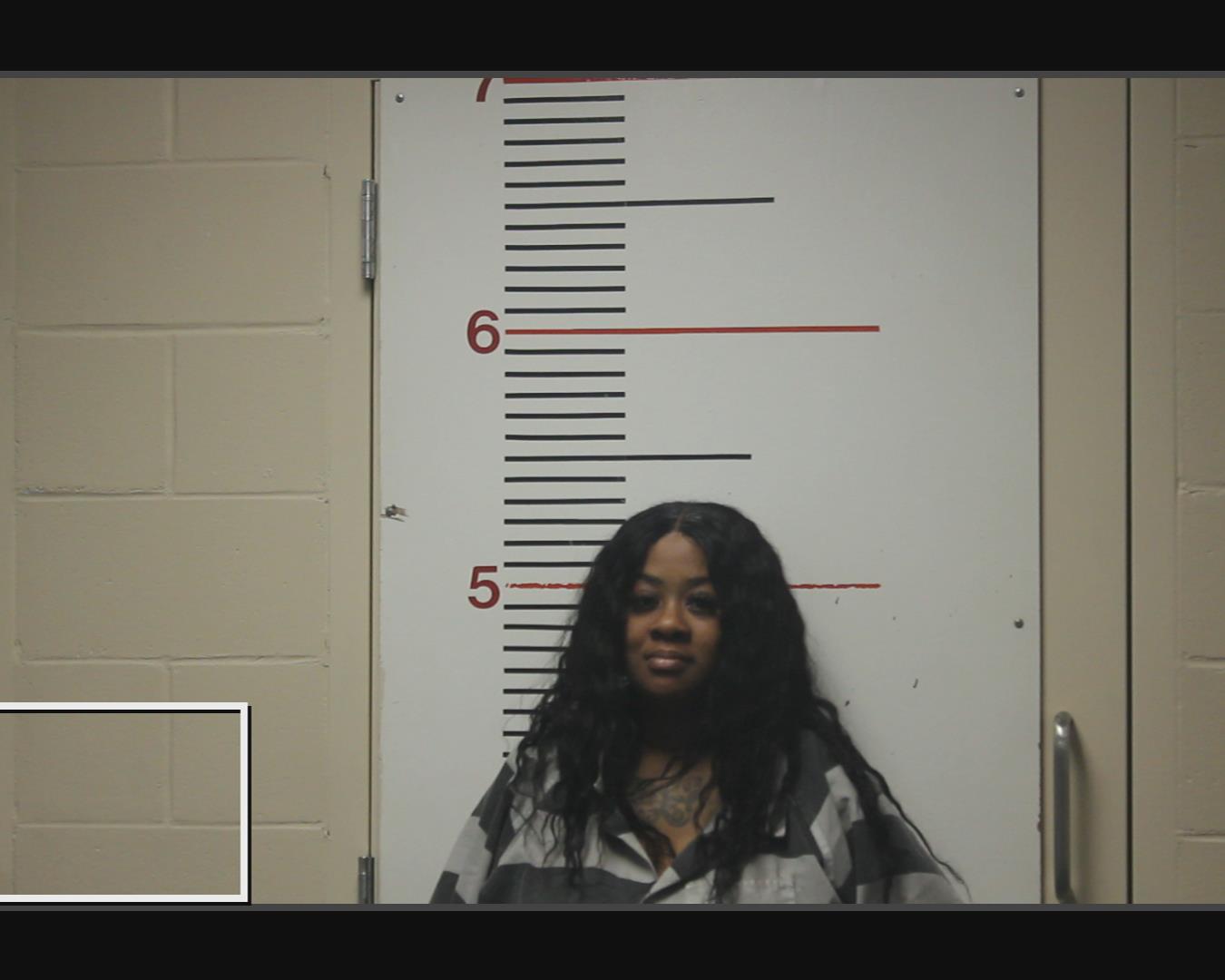 PAGE, ZEANDREA ZIONNE booking photo