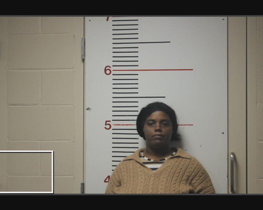 SMITH, CINAMON ALEXANDRA arrested in Anderson County, Texas mugshot