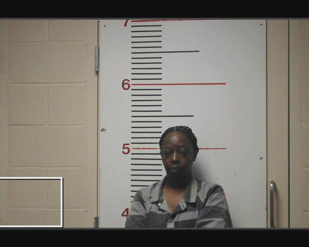 DONNELL, TAMARA DESHELL arrested in Anderson County, Texas mugshot