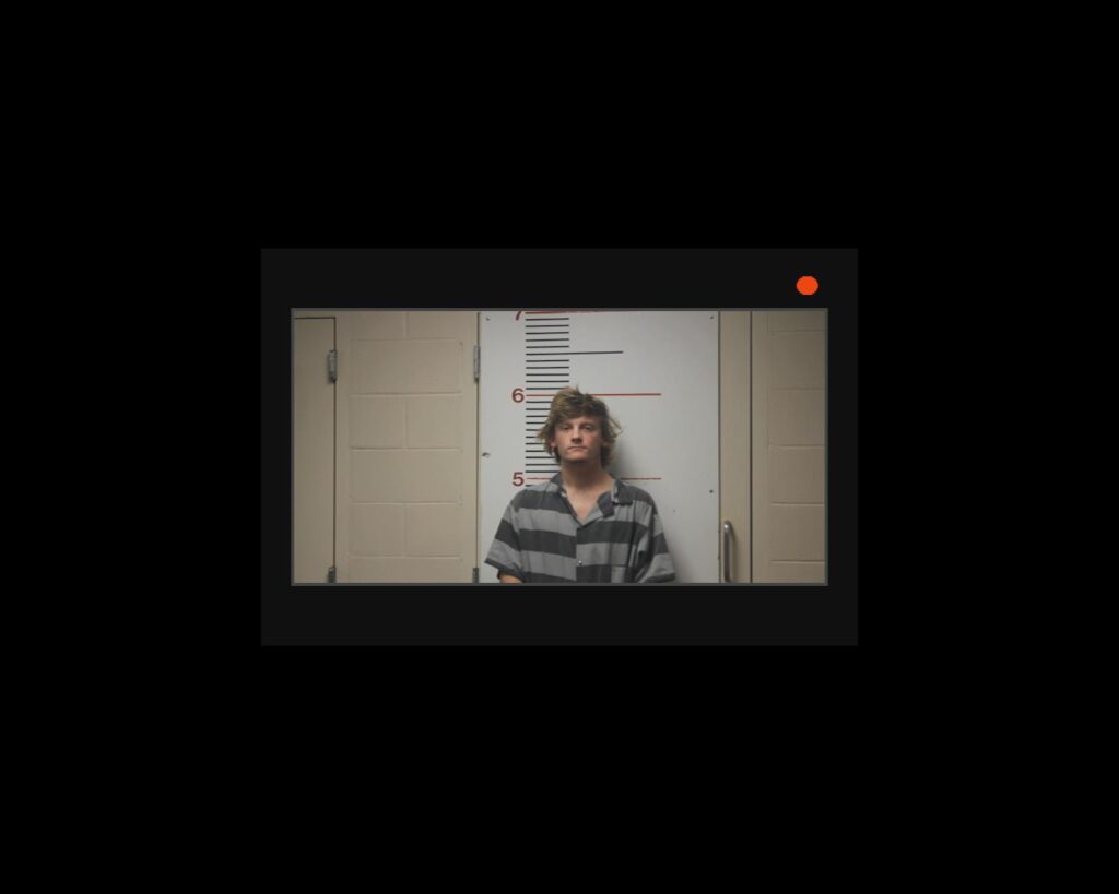 SCHAMBURG, DALTON IAN arrested in Anderson County, Texas mugshot