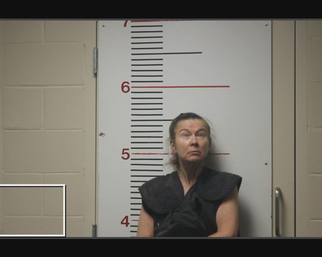 GILLIAM, IRINA V arrested in Anderson County, Texas mugshot