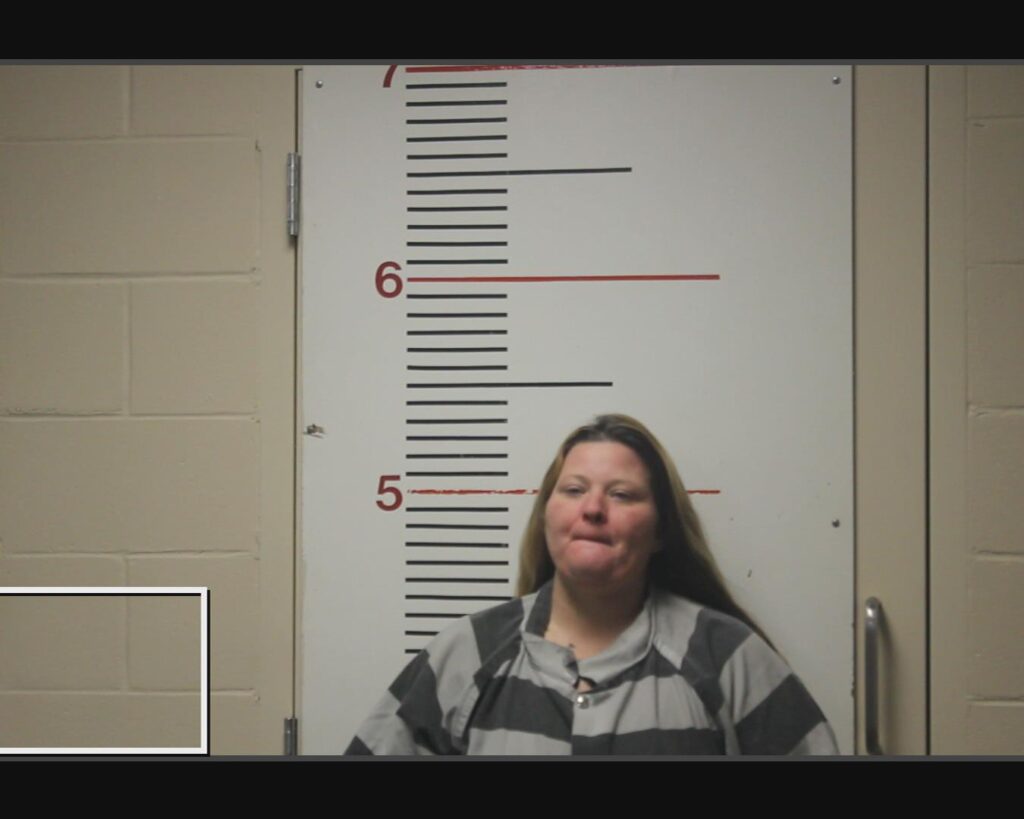 JENKINS, LINDSEY MARIE arrested in Anderson County, Texas mugshot