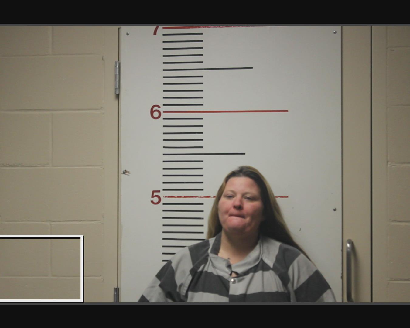 JENKINS, LINDSEY MARIE booking photo