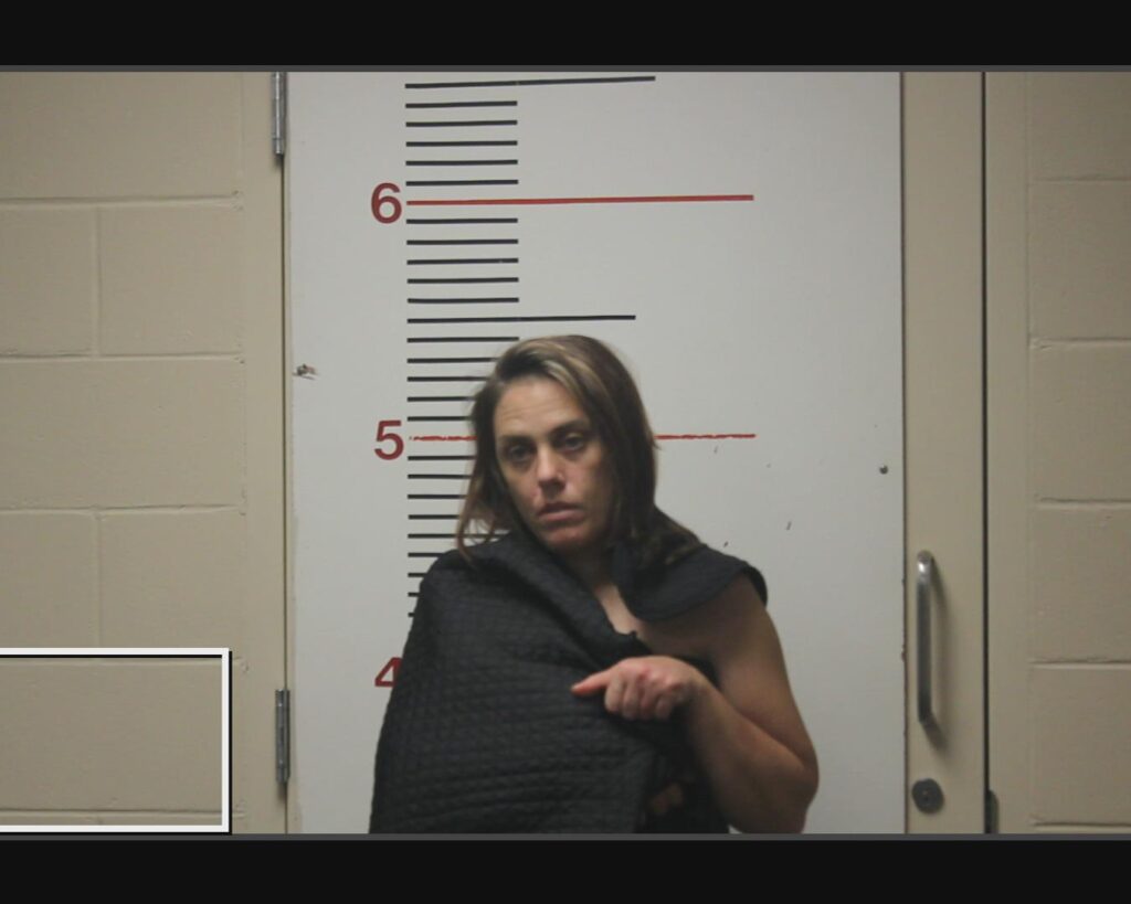 LYONS, ASHLEY NICHOLE arrested in Anderson County, Texas mugshot