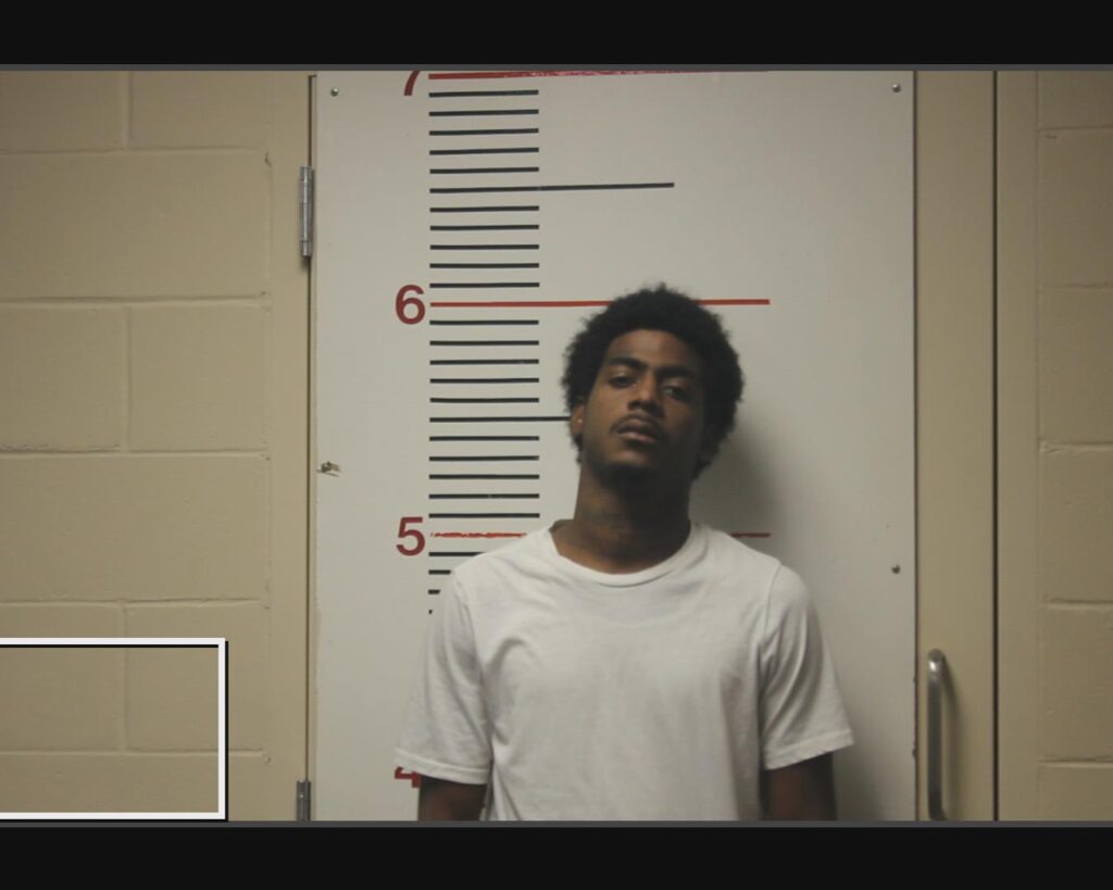 DEWS, TYIRESE LADELL arrested in Anderson County, Texas mugshot