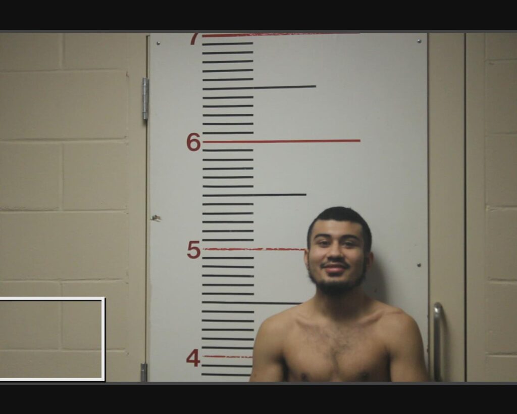 LEYVA, FRANCISCO HUGO arrested in Anderson County, Texas mugshot