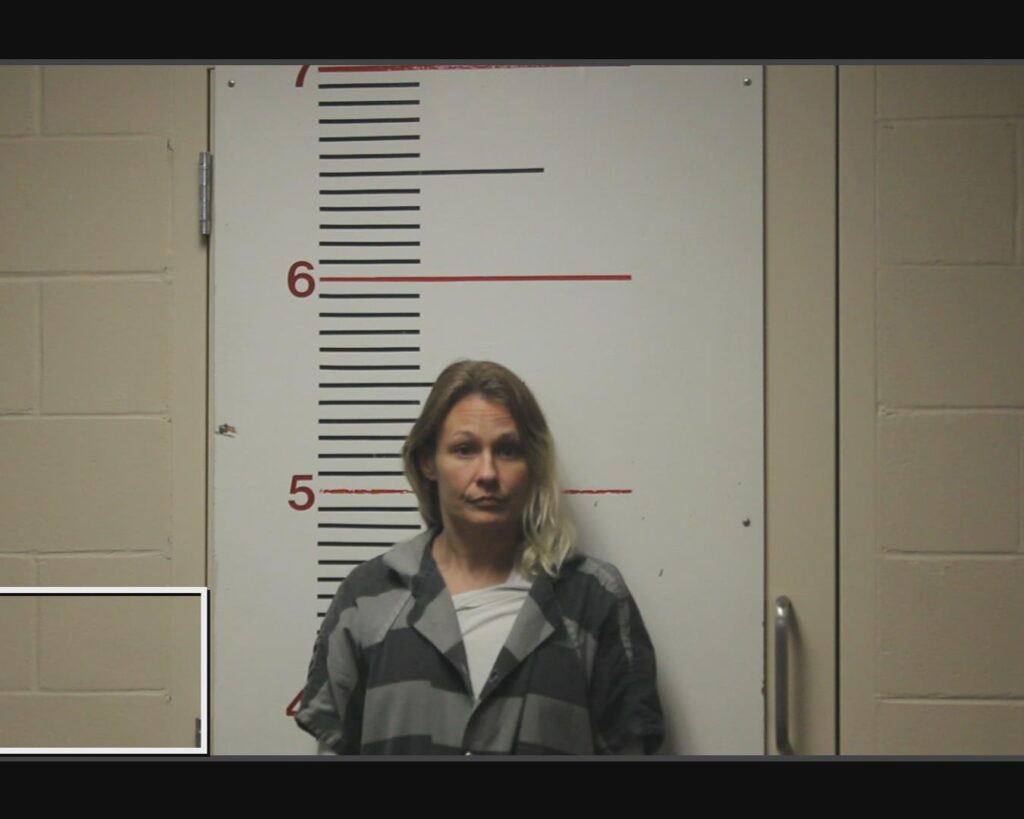 CONNER, LEAH BEA arrested in Anderson County, Texas mugshot