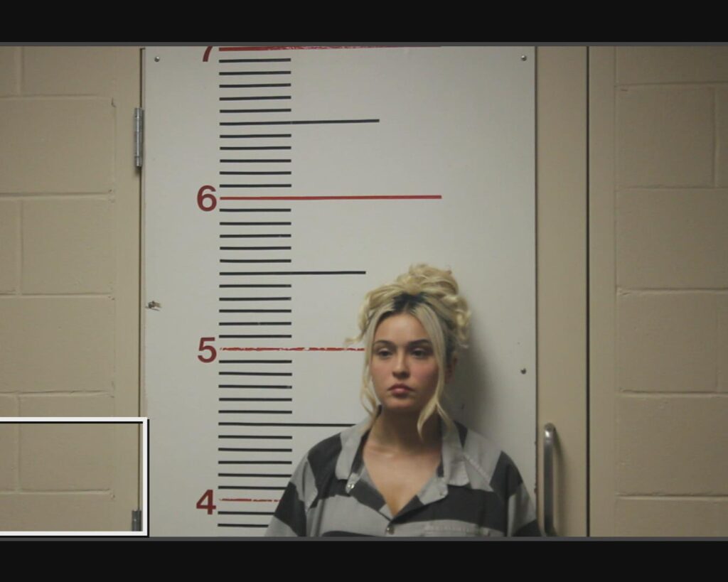 PEREZ, ALISSA NICOLE arrested in Anderson County, Texas mugshot
