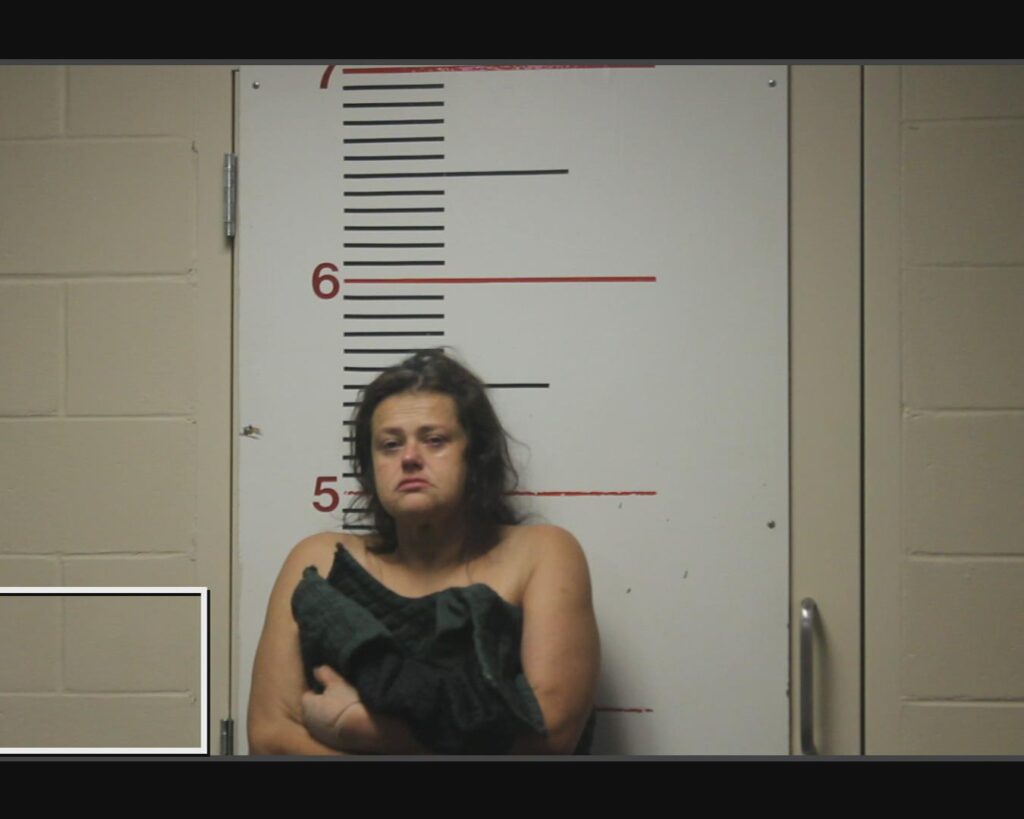 MARTINEZ, AMANDA LANEIA arrested in Anderson County, Texas mugshot