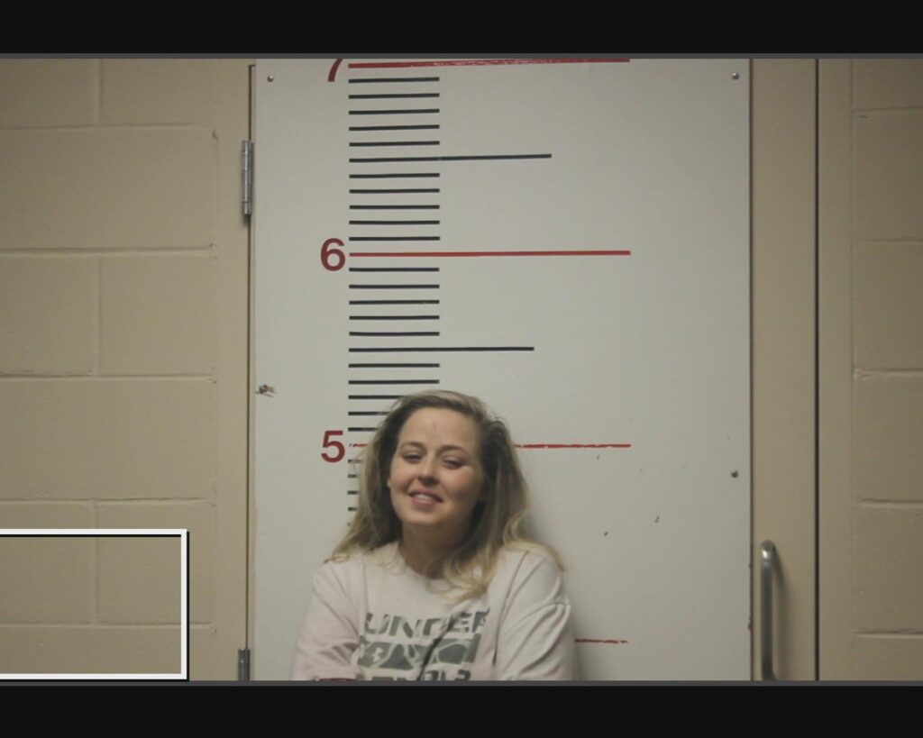 HARDISON, MANDIE BROOKE arrested in Anderson County, Texas mugshot
