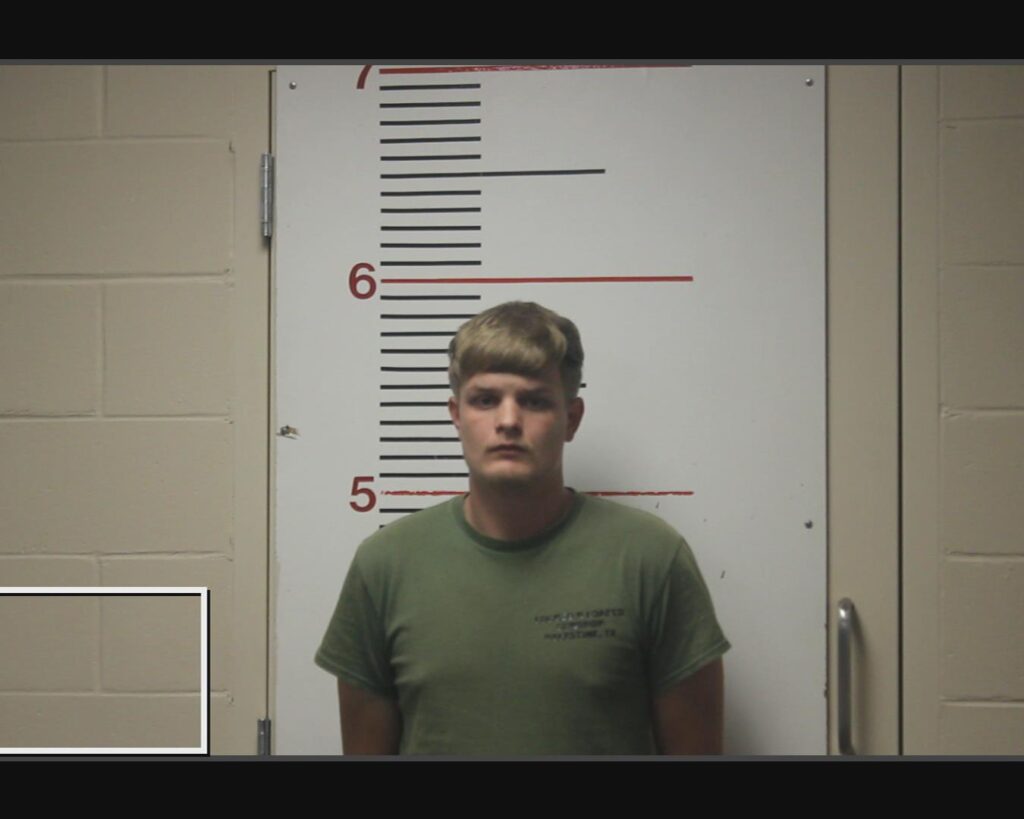 CRISP, JAMES COREY, Jr. arrested in Anderson County, Texas mugshot