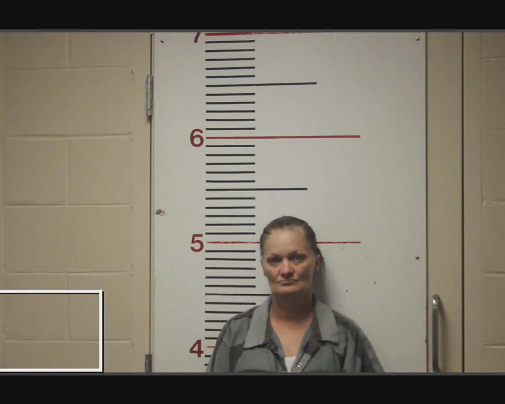 SLOAN, MARY KAY arrested in Anderson County, Texas mugshot