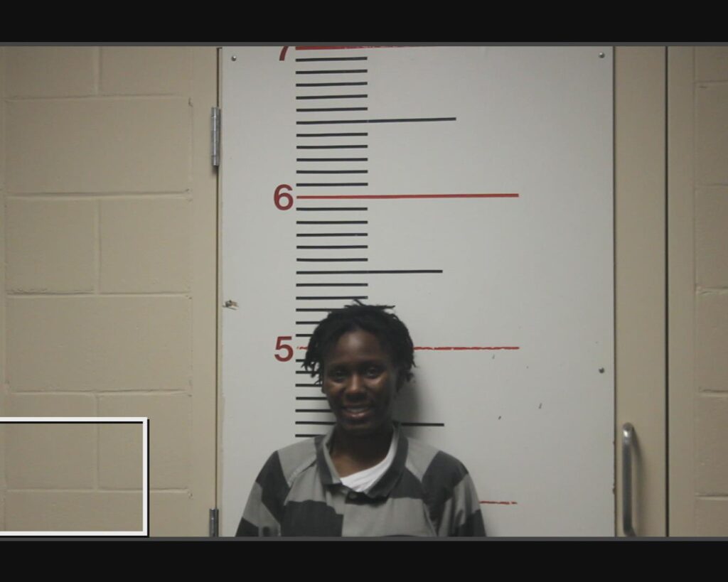 HARPER, QUINTYRA TYNIECE arrested in Anderson County, Texas mugshot