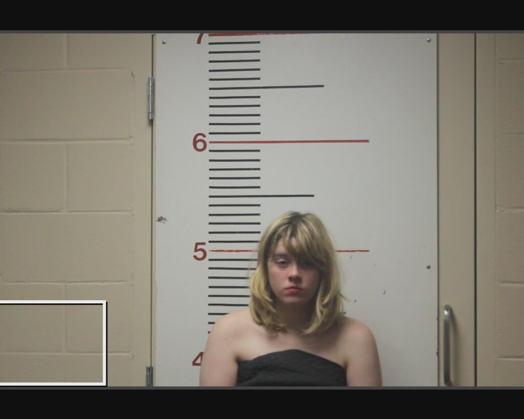HOLMES, CAROLINE KAY arrested in Anderson County, Texas mugshot