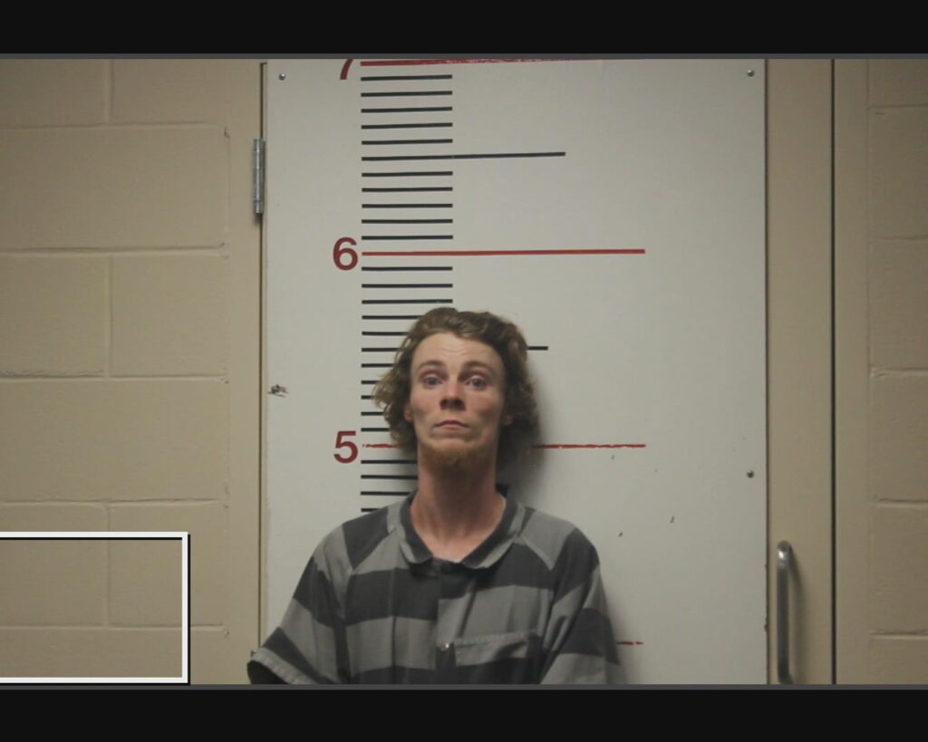 STANALAND, CHRISTIAN SETH arrested in Anderson County, Texas mugshot