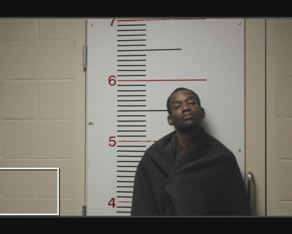 WHITE, ALBERT AUSTIN arrested in Anderson County, Texas mugshot