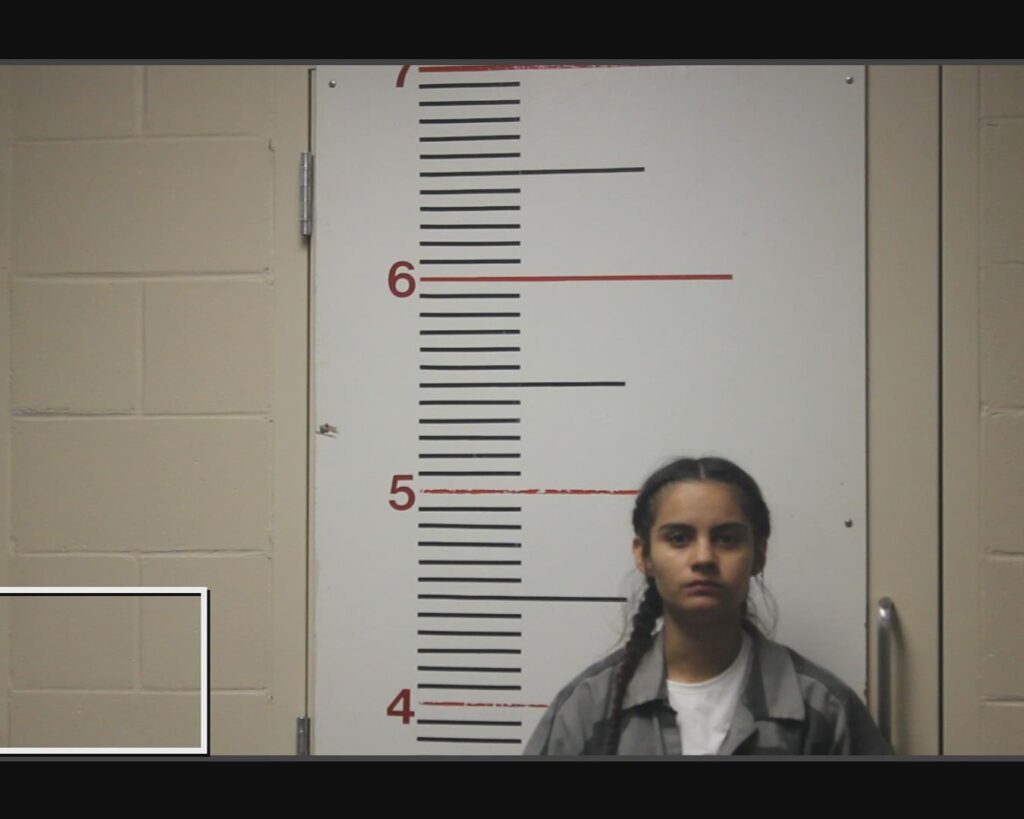RAMIREZ, ESTRELLA arrested in Anderson County, Texas mugshot