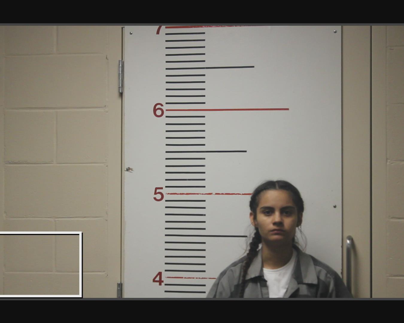 RAMIREZ, ESTRELLA booking photo