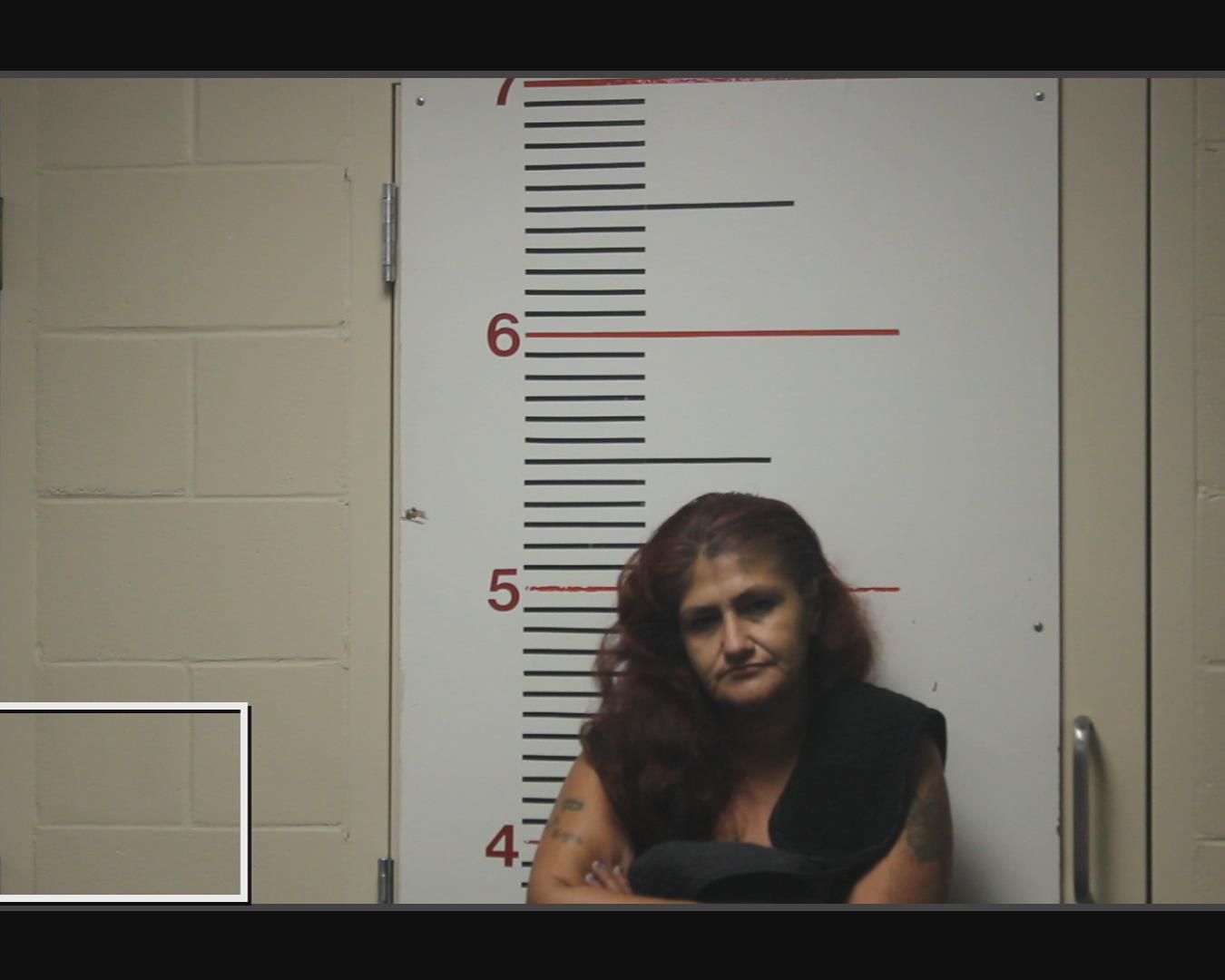 HERNANDEZ, VALENTINA booking photo