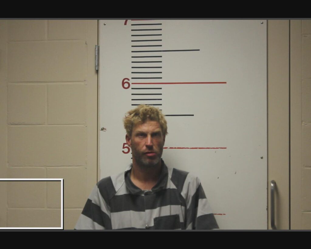 LINDSEY, DUSTIN arrested in Anderson County, Texas mugshot