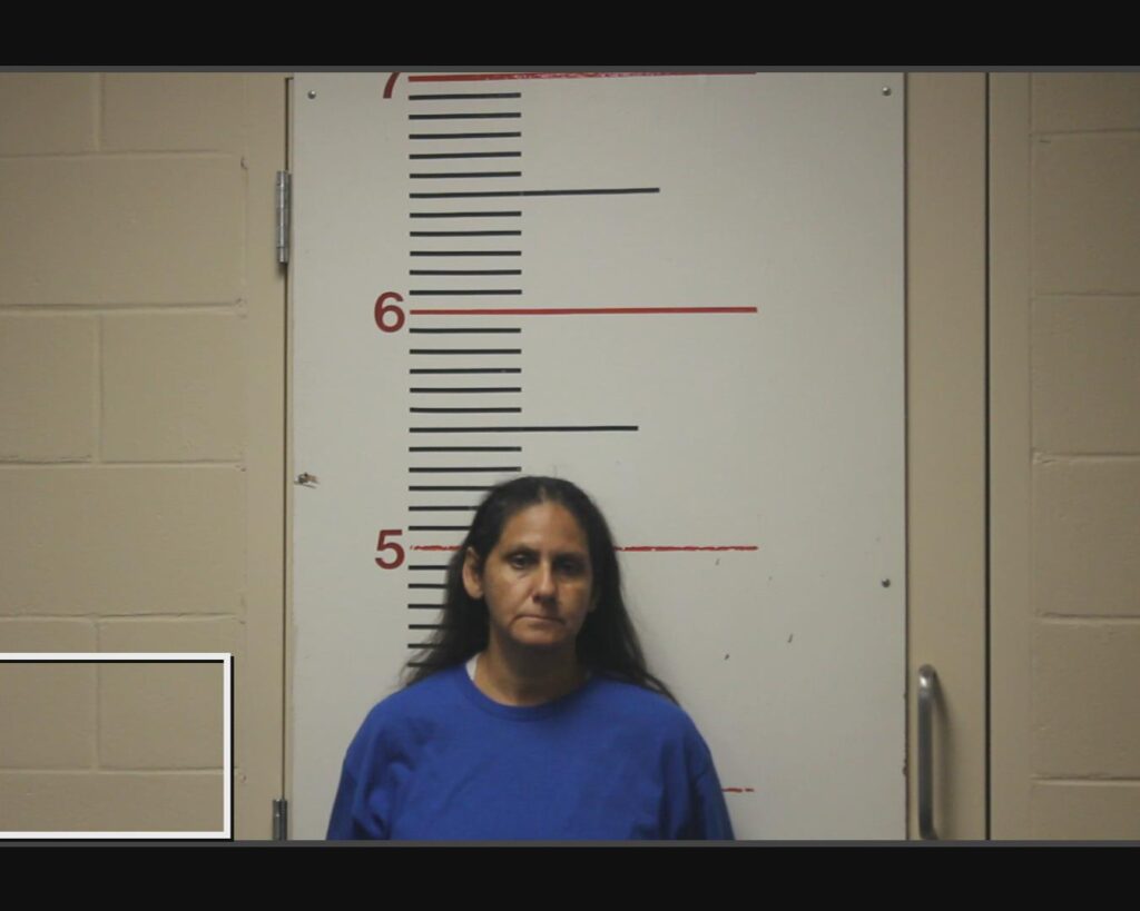 TREVINO-VELA, VICKIE arrested in Anderson County, Texas mugshot