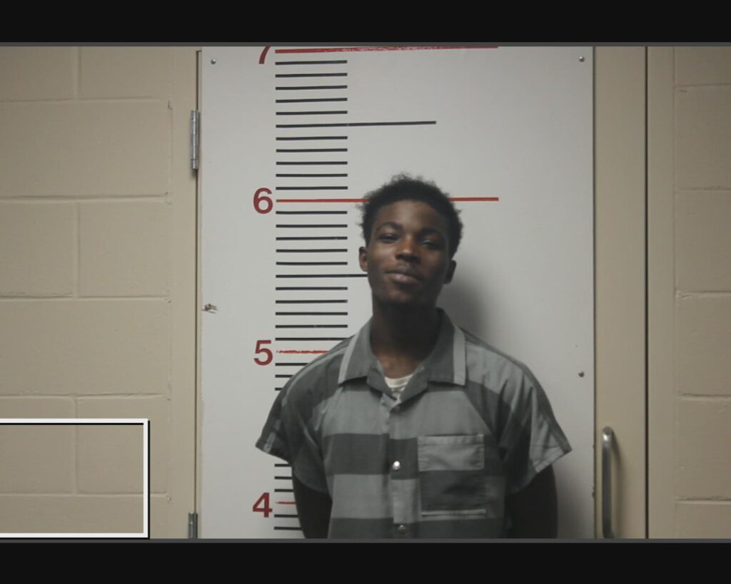 HALL, LADARION K arrested in Anderson County, Texas mugshot