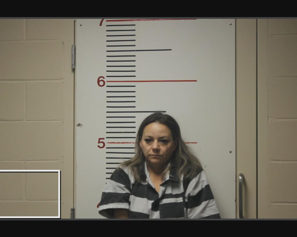 ADAMS, BRANDI JO arrested in Anderson County, Texas mugshot