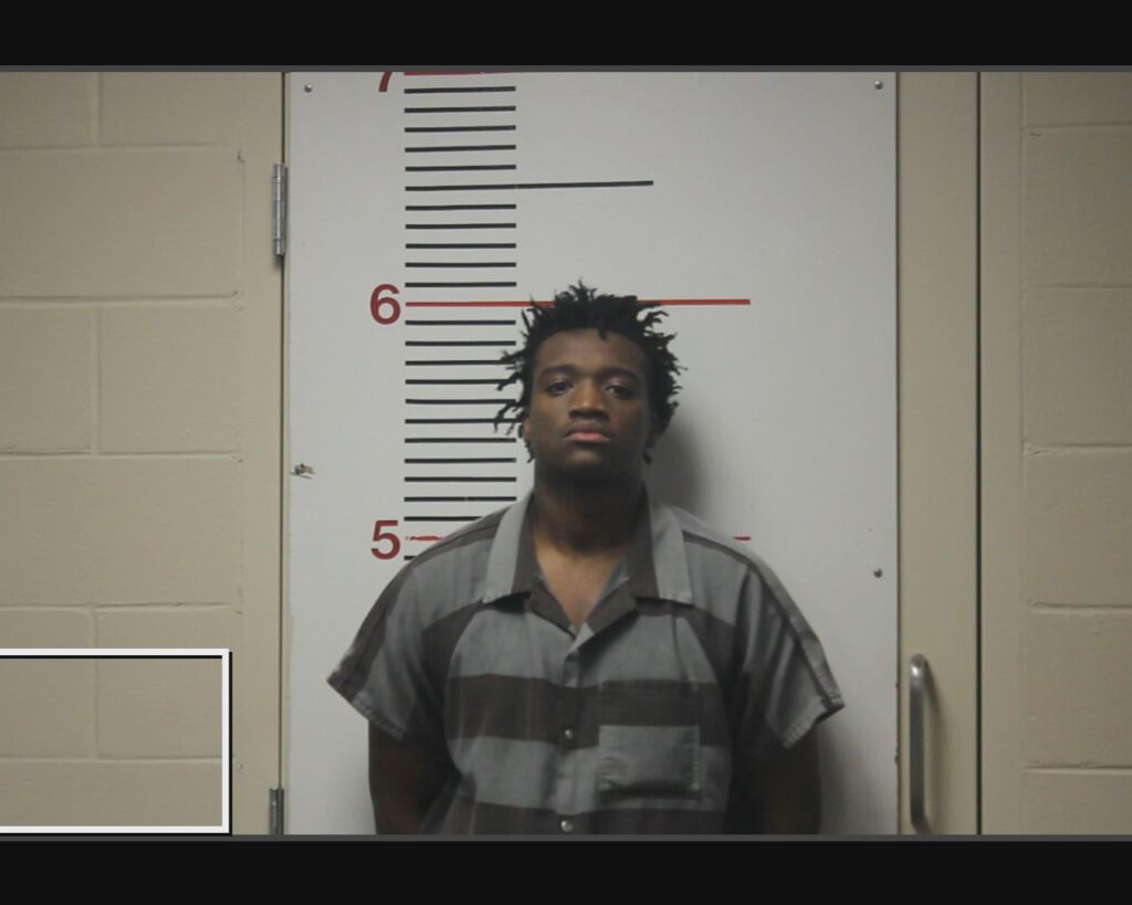 CLEWIS, JAMARCUS MARKEL arrested in Anderson County, Texas mugshot