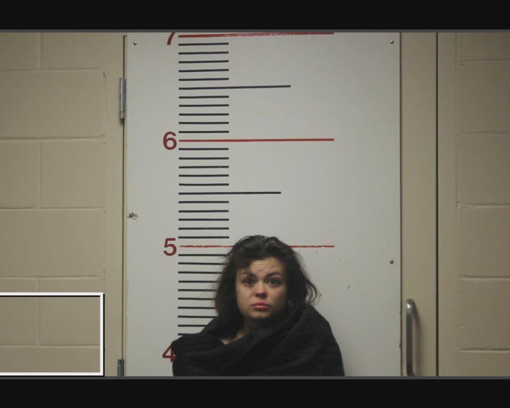CARTER, HARLEE NICOLE arrested in Anderson County, Texas mugshot