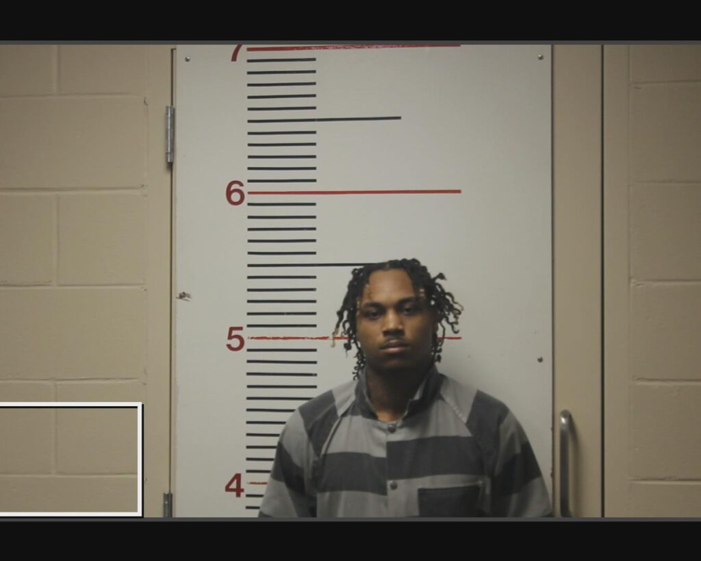 OWENS, JORDAN LEELAVATRICK arrested in Anderson County, Texas mugshot