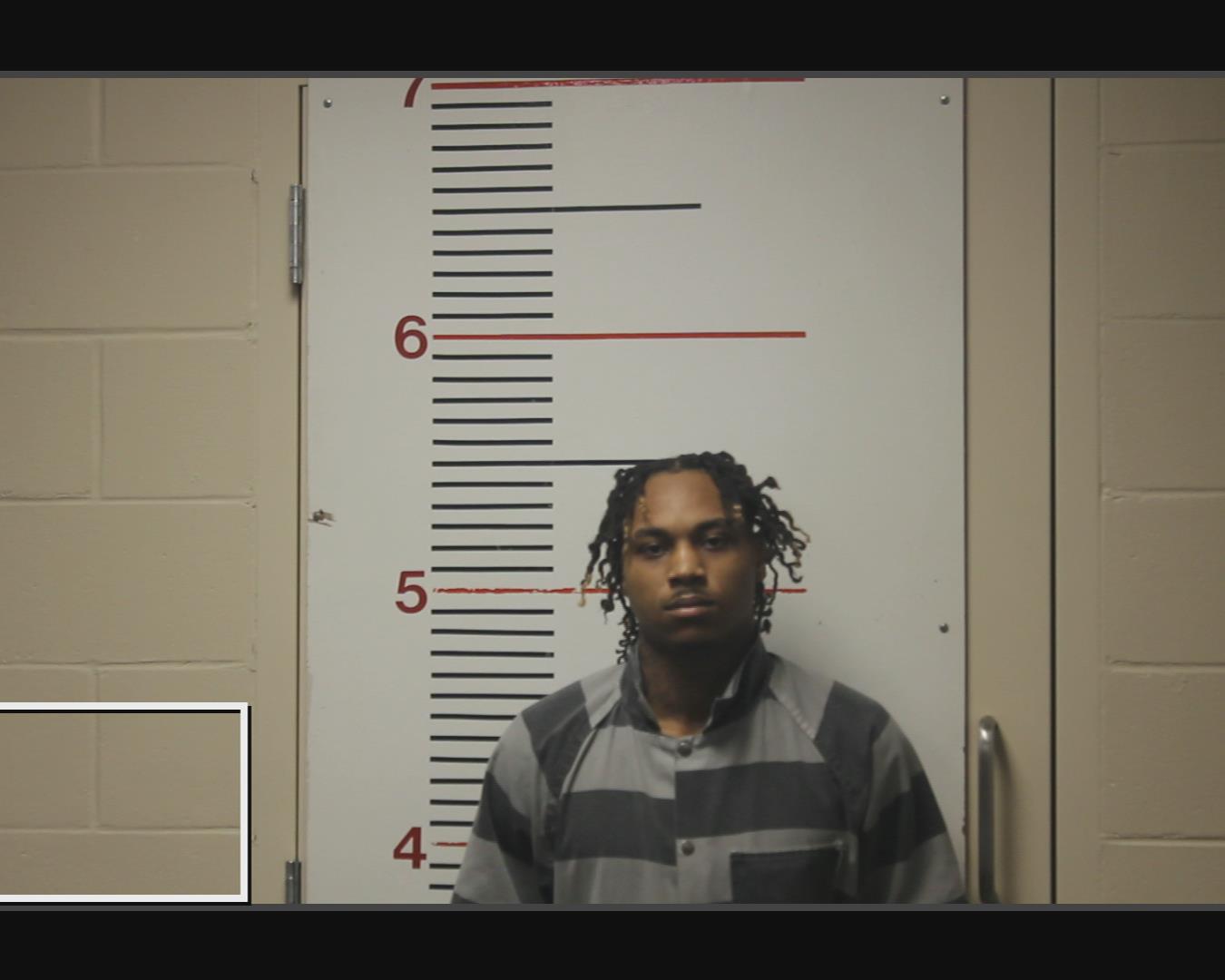 OWENS, JORDAN LEELAVATRICK booking photo