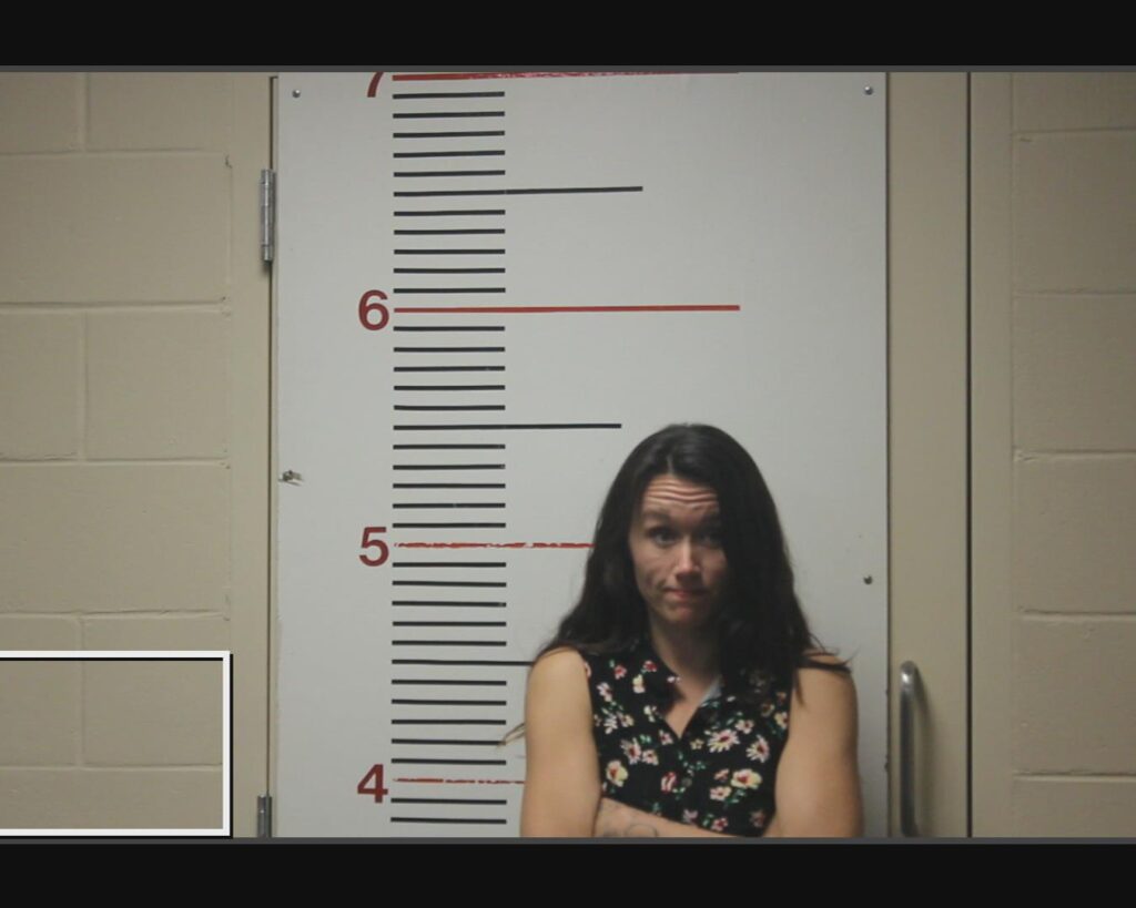 WHITESIDE, ASHLEY NICHOLE arrested in Anderson County, Texas mugshot
