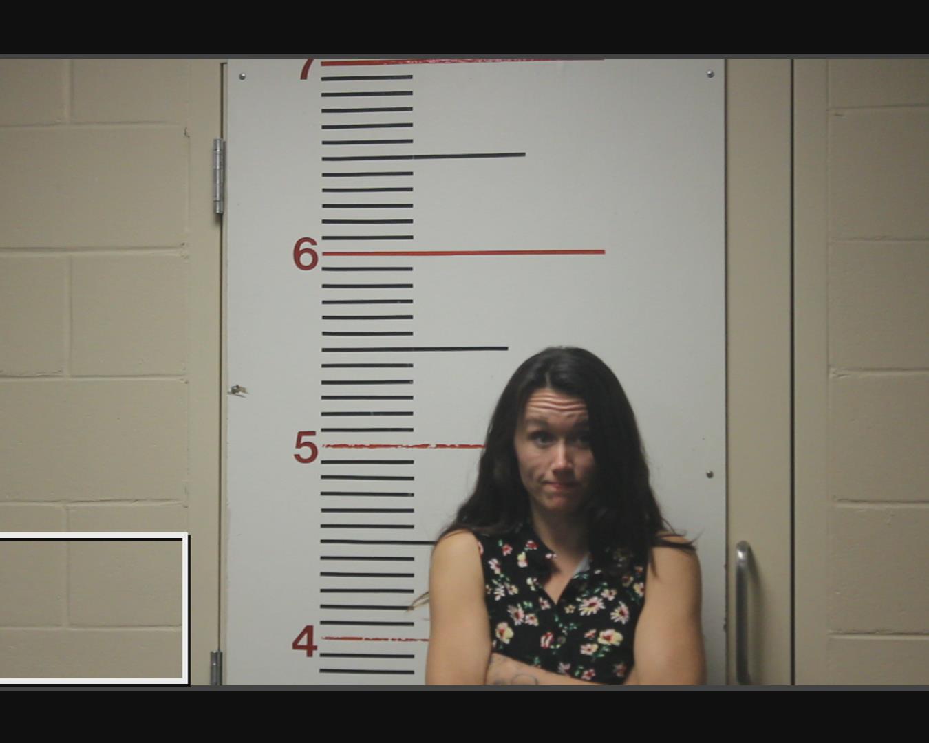 WHITESIDE, ASHLEY NICHOLE booking photo