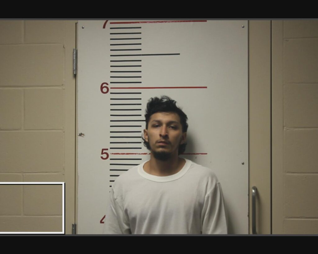 CHAVEZ, ARATH arrested in Anderson County, Texas mugshot