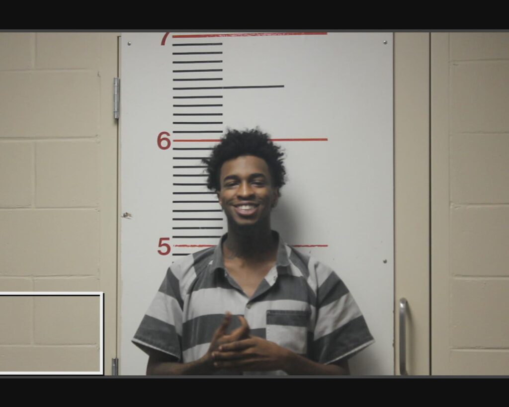 PURSLEY, ERIC KAVADRION DEWAINE arrested in Anderson County, Texas mugshot