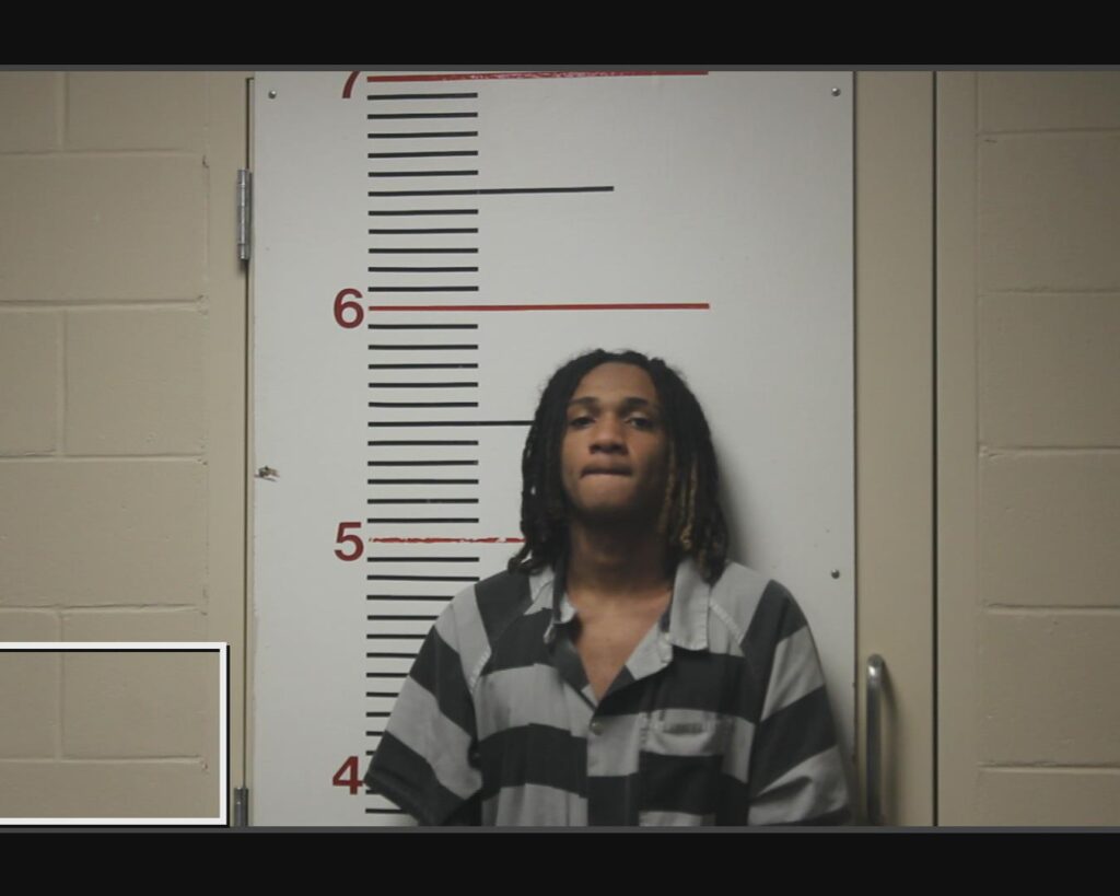 MORALES, ADONIJAH JRYSE arrested in Anderson County, Texas mugshot